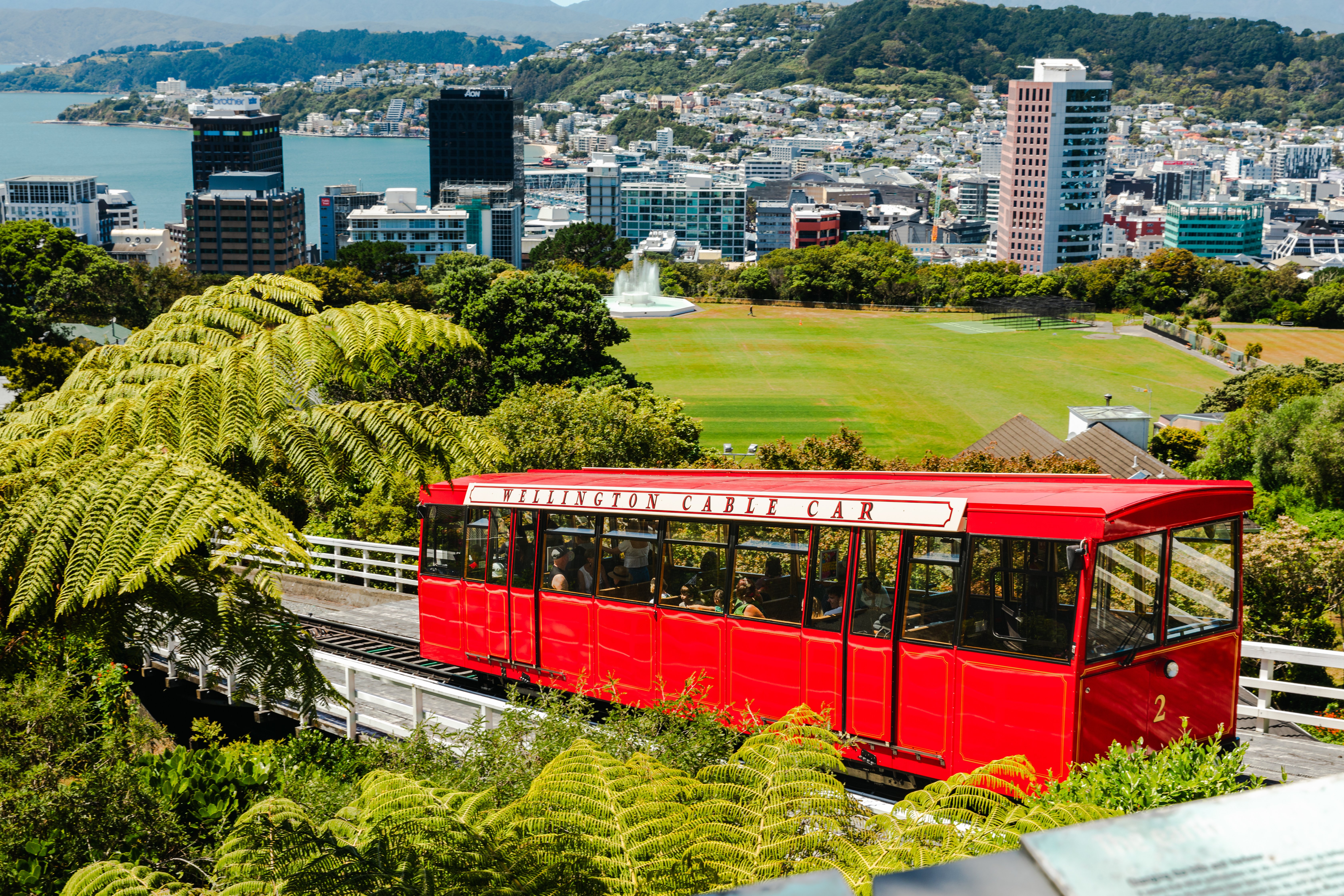 WNZ_Discover Wellington_28012025_Credit_WellingtonNZ_-60