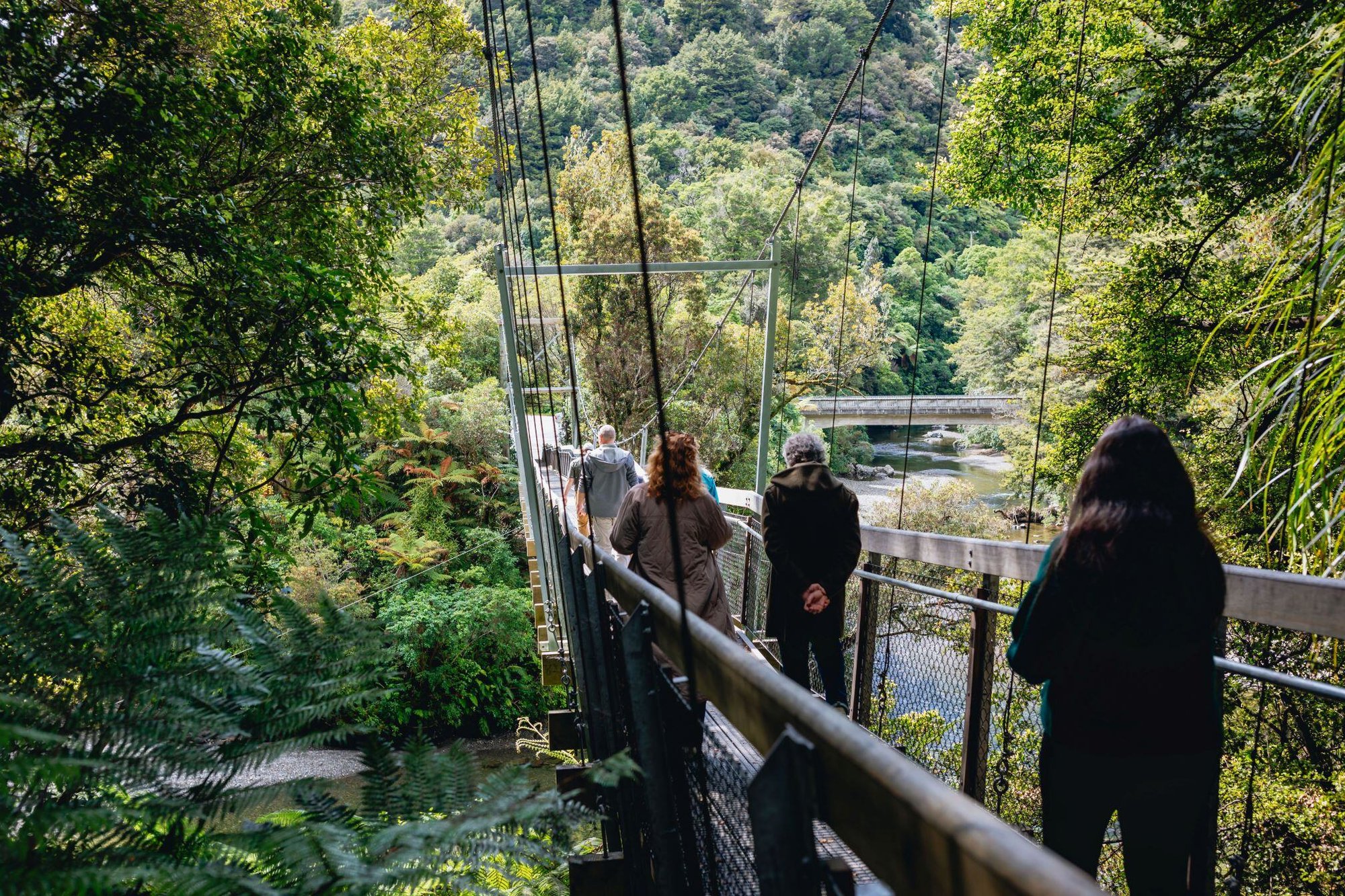 smaller WNZ_Wanderlust Tours_07112024_Credit_WellingtonNZ_Phoebe Mackenzie_-29