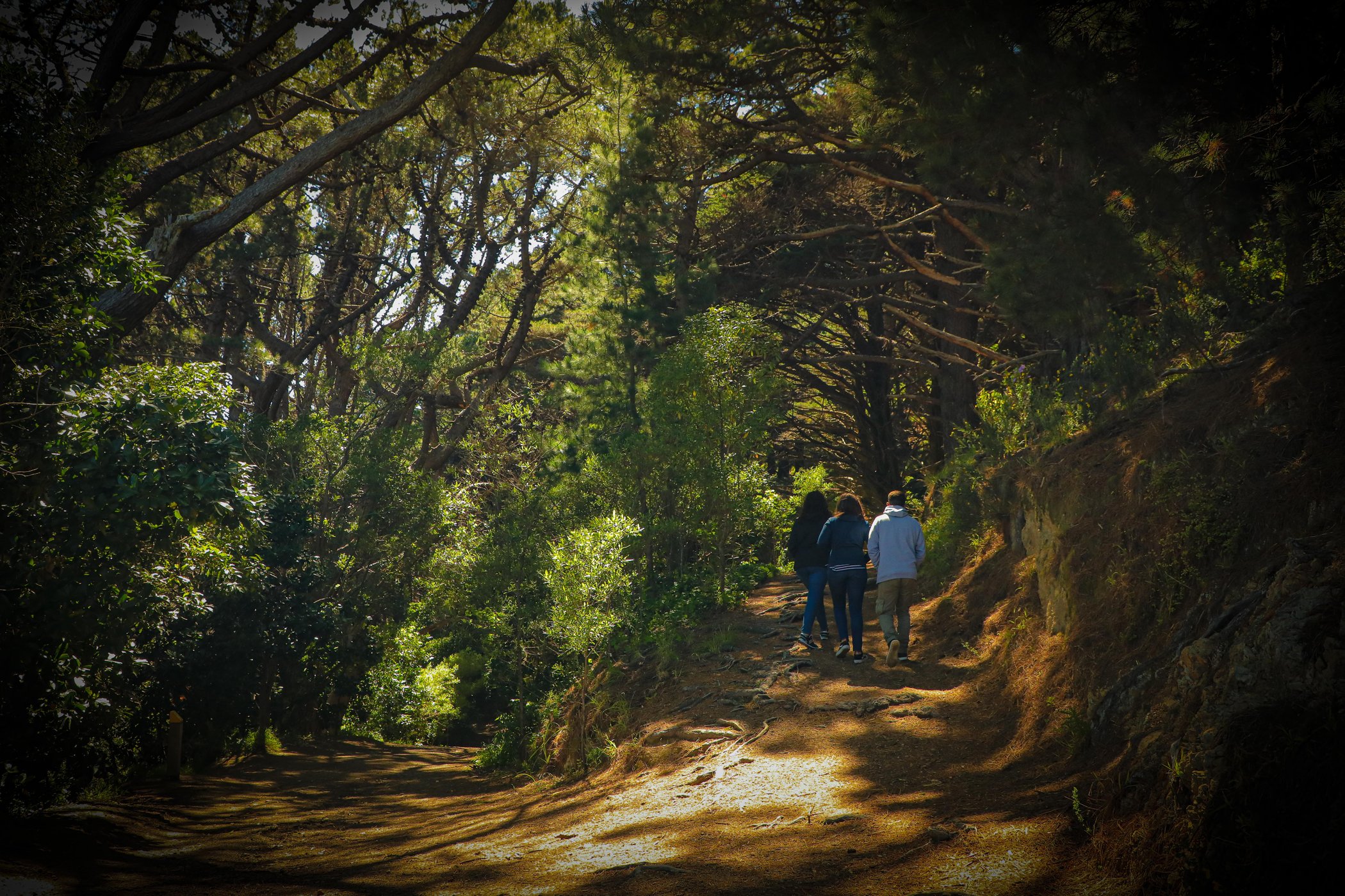 Rings | Mount Victoria