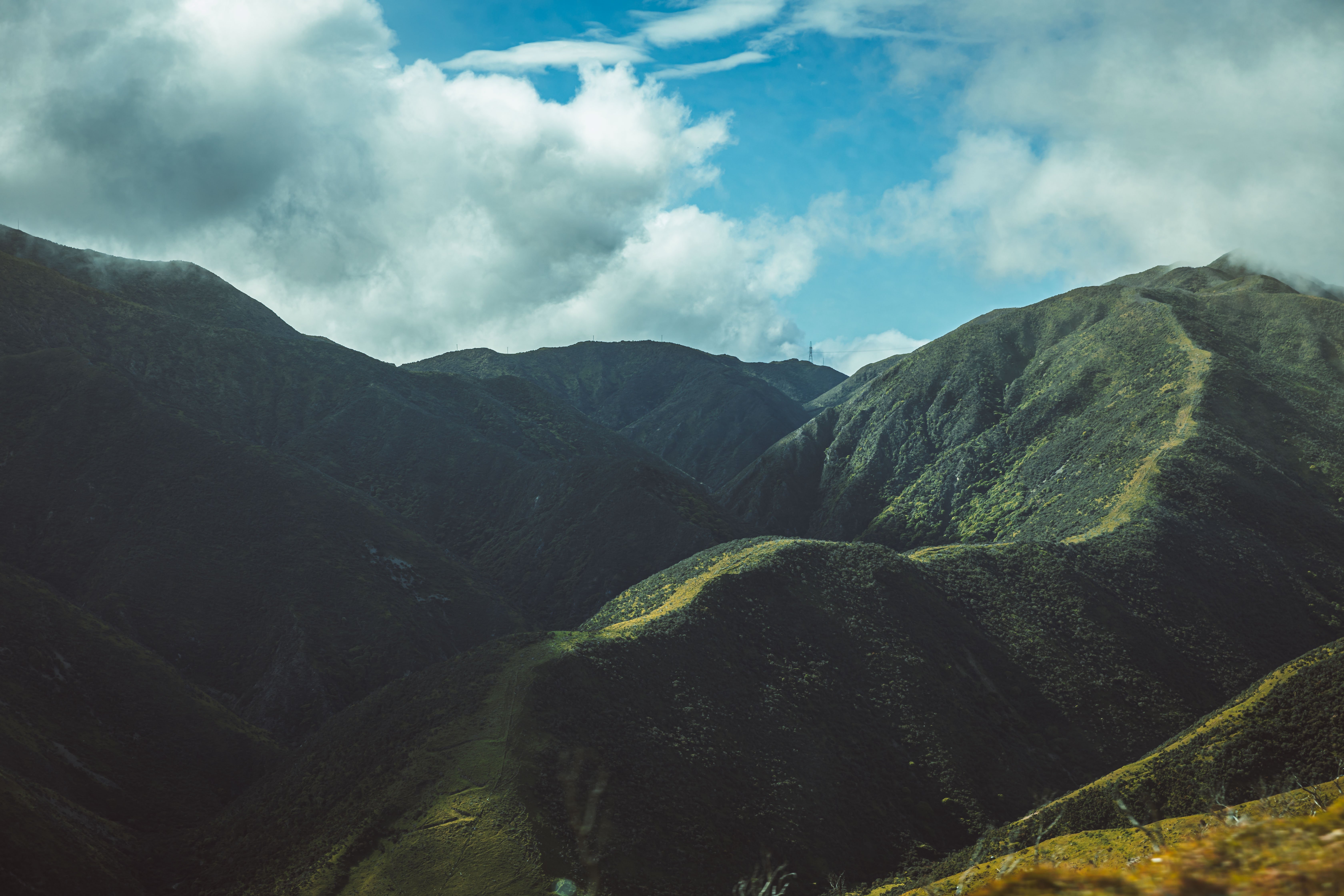 WNZ_Wanderlust Tours_07112024_Credit_WellingtonNZ_Phoebe Mackenzie_-134