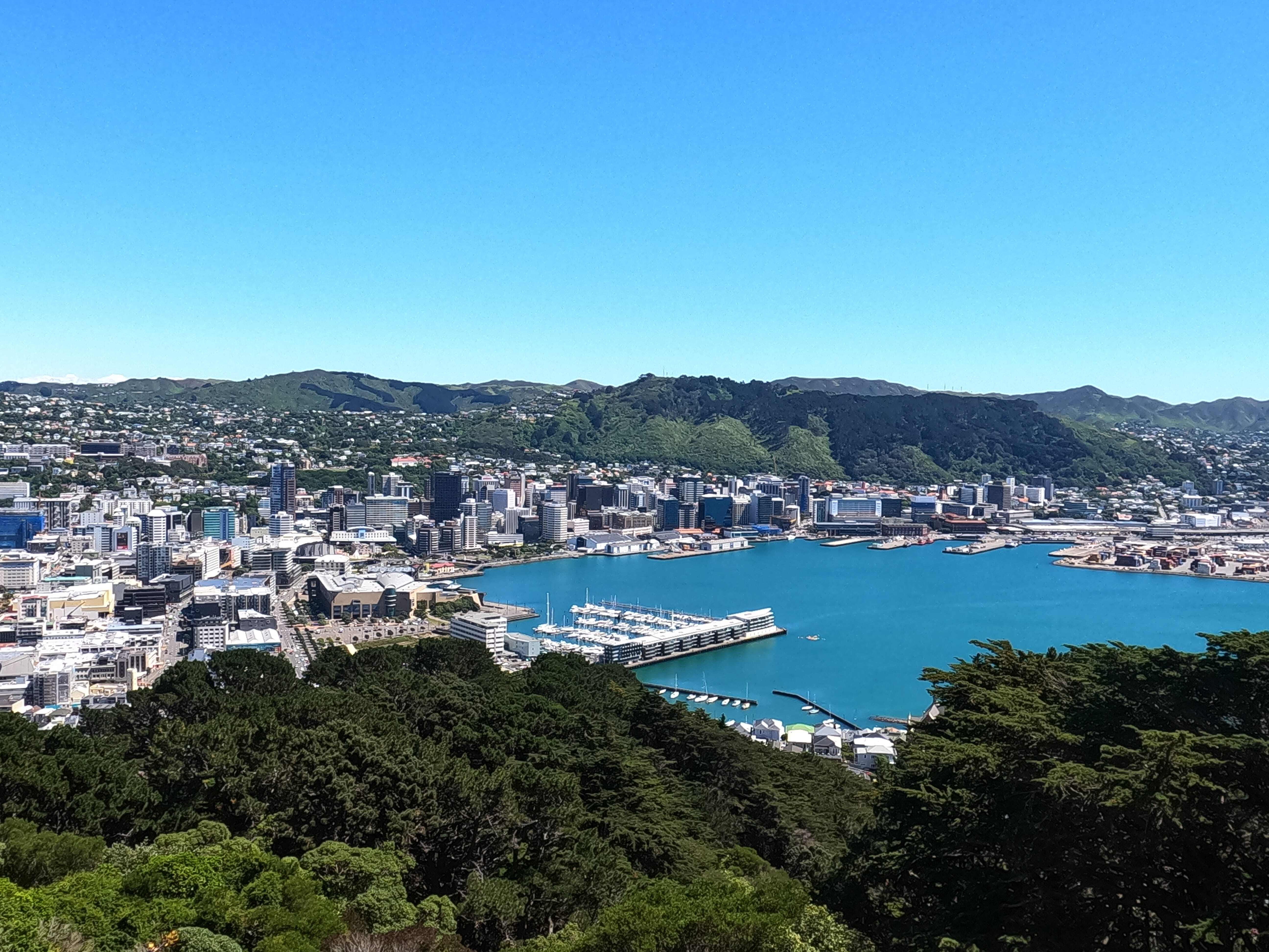 Mt Victoria lookout view